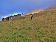 13 Sopra la nebbia compaiono i Tre Pizzi  nel sereno...speriamo si apra